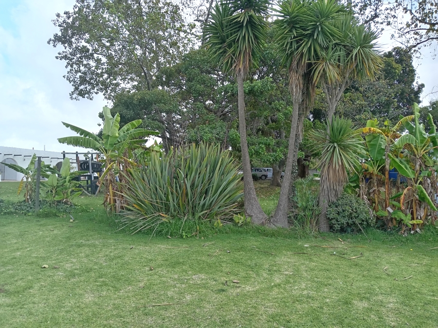 To Let commercial Property for Rent in Kraaibosch Western Cape